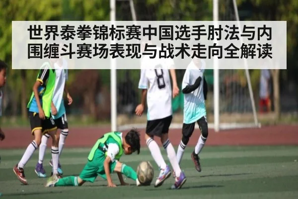 世界泰拳锦标赛中国选手肘法与内围缠斗赛场表现与战术走向全解读（kaiyun）
